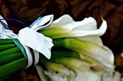 20080809_0052
