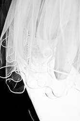 20080809_0060