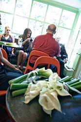 20080809_0394